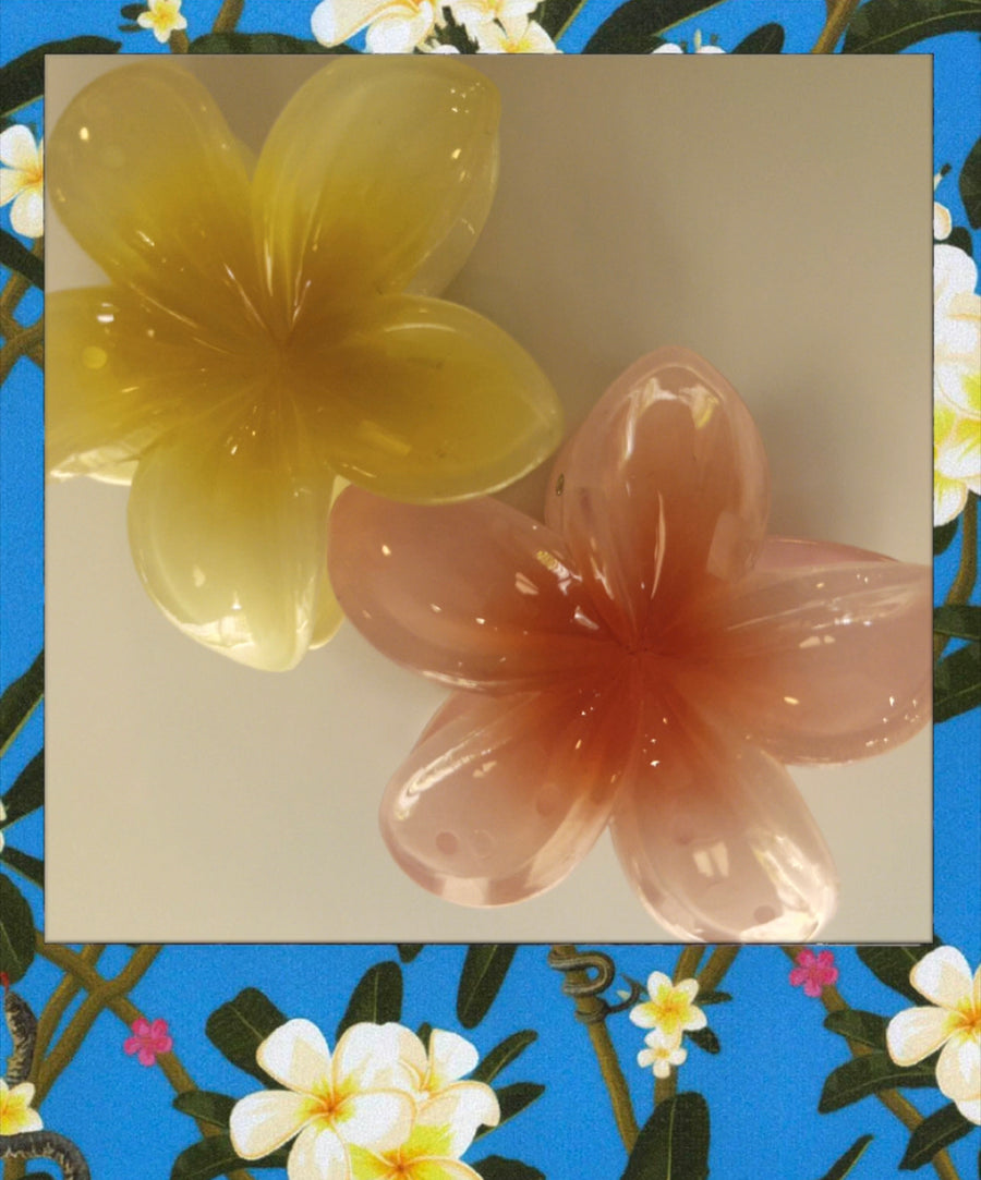 Manmao Flower Hair Clip: Stylish Plumeria Claw Clips in Candy Colors for Women and Girls"